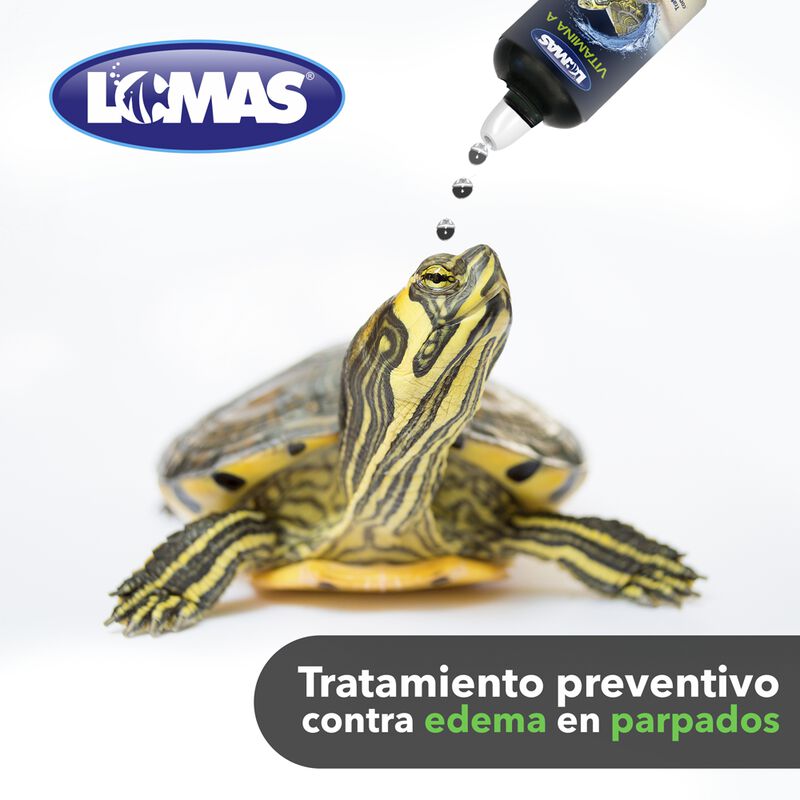 Lomas Vitamina A Para Tortugas Con 30 Mililítro... image number null