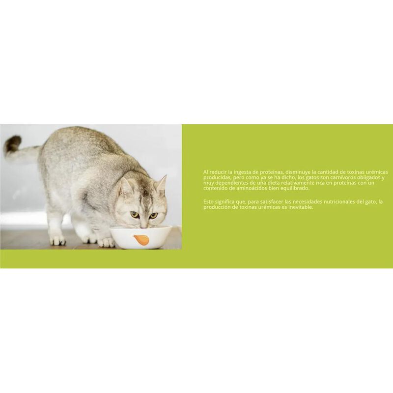 Porus one Caja con 30 sobres Linea RenalesLabor... image number null