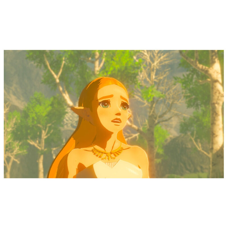 The legend of Zelda breath of the wild Nintendo... image number null
