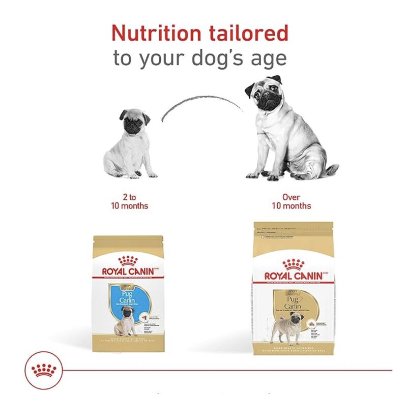 Royal Canin Bhn Pug Puppy 1.14 Kg Original Sell... image number null