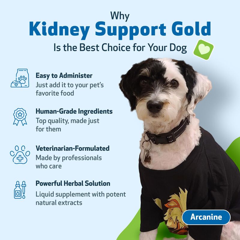 Suplemento Pet Wellbeing Kidney Support Gold Pa... image number null