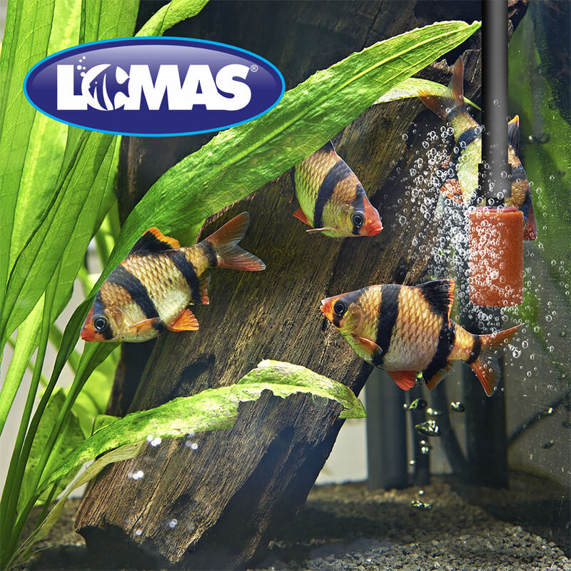 Lomas Piedra Difusora de Aire de 2.5 Centímetro... image number null