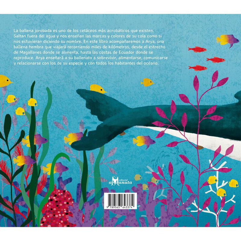 Arya la ballena viajera image number null