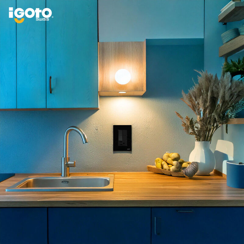 Placa Armada Cristal IGOTO CRIS1008-2008 con  1... image number null