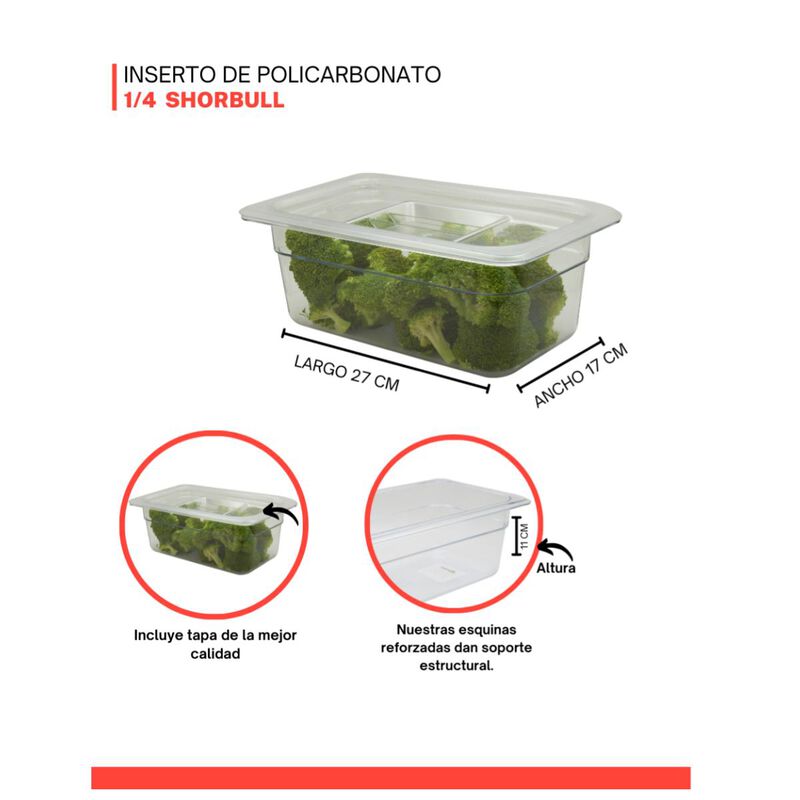 Inserto policarbonato cuarto 1/4 10 Shorbull image number null