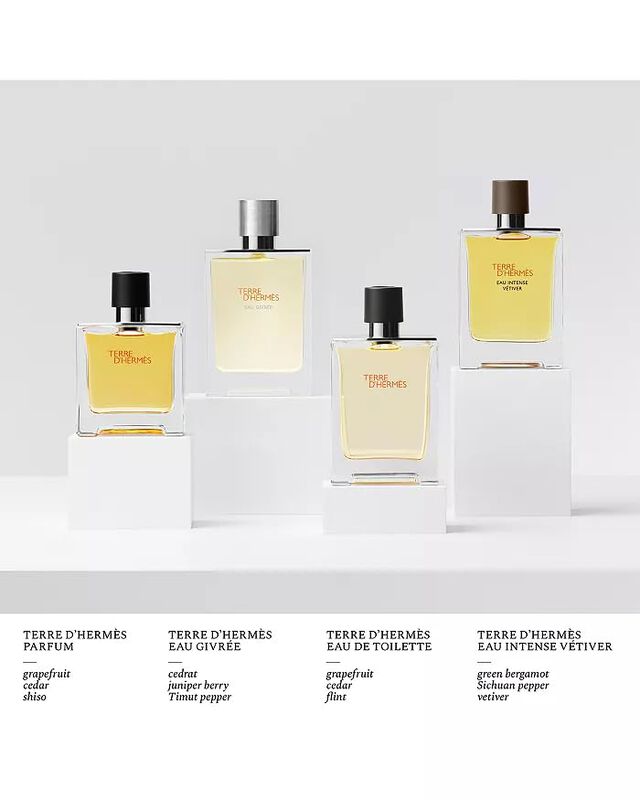 Perfume Hermes Terre D'hermes Eau Intense Vetiv... image number null