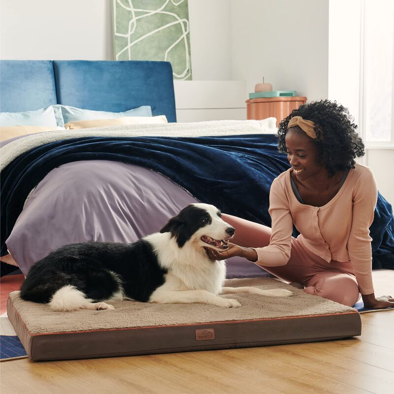 Cama Ortop&eacute;dica Grande Para Perros Con Funda Ex... image number null