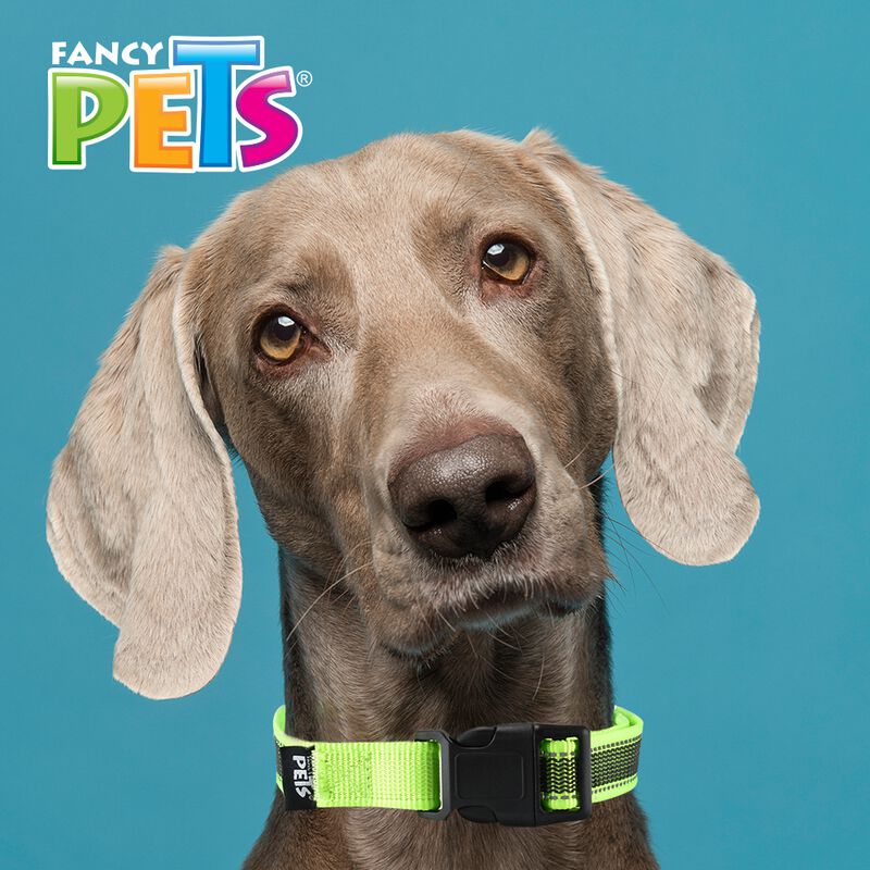 Fancy Pets Collar Con Ultra Grip Y Bandas Refle... image number null