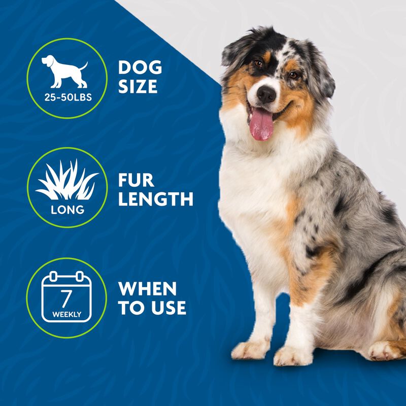 Pack De 2 Cepillos Furminator Para Perros image number null