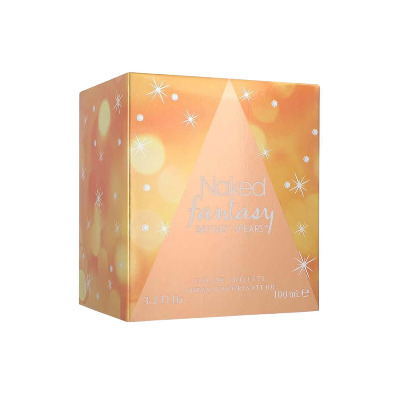 Britney Spears Fantasy Naked 100ml Edt Spray image number null