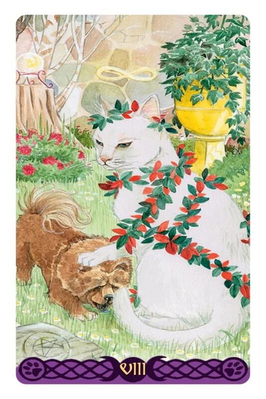 Tarot De Los Gatos Paganos image number null