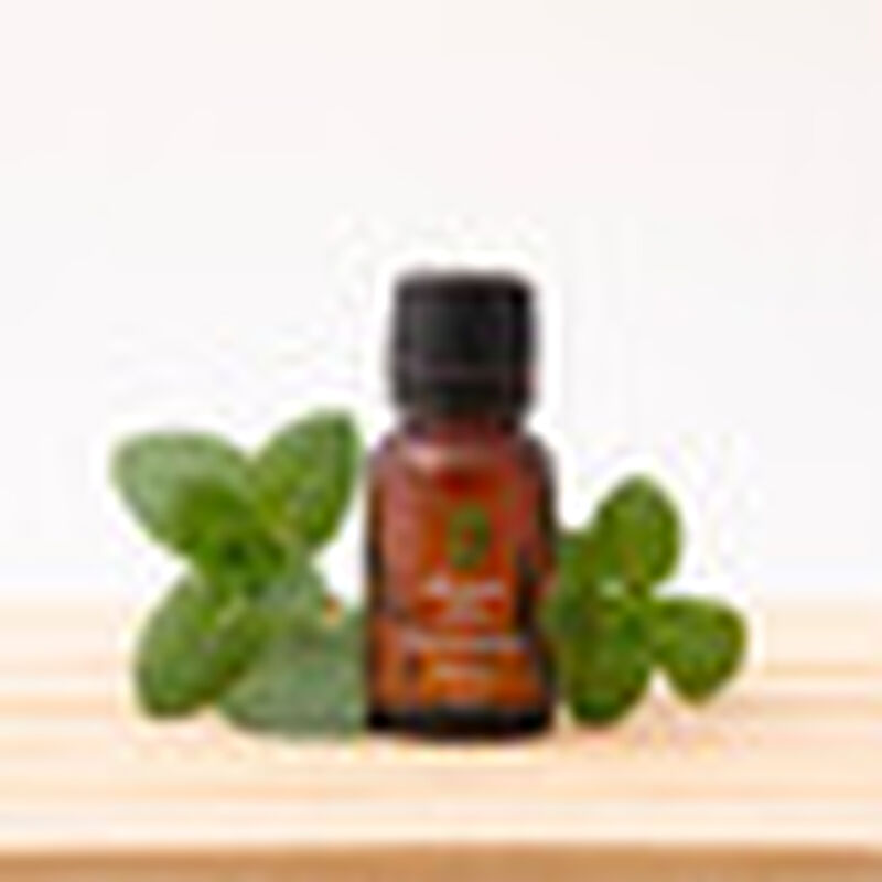Aceite Esencial Puro Menta 15 ml 100% Puro y Or... image number null