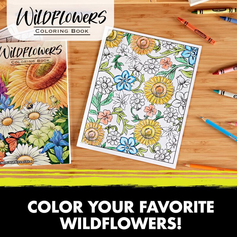 Libro Para Colorear Crayola Wildflower, 40 P&aacute;gi... image number null