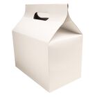 Caja Box Lunch Chica #2