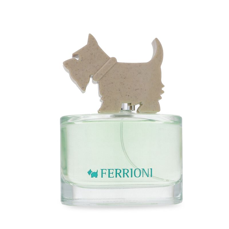 Ferrioni Green For Her 100Ml Edt Spray image number null
