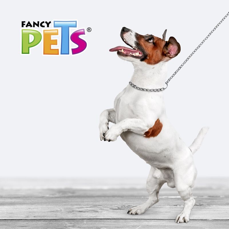 Fancy Pets Collar De Entrenamiento Para Perro D... image number null
