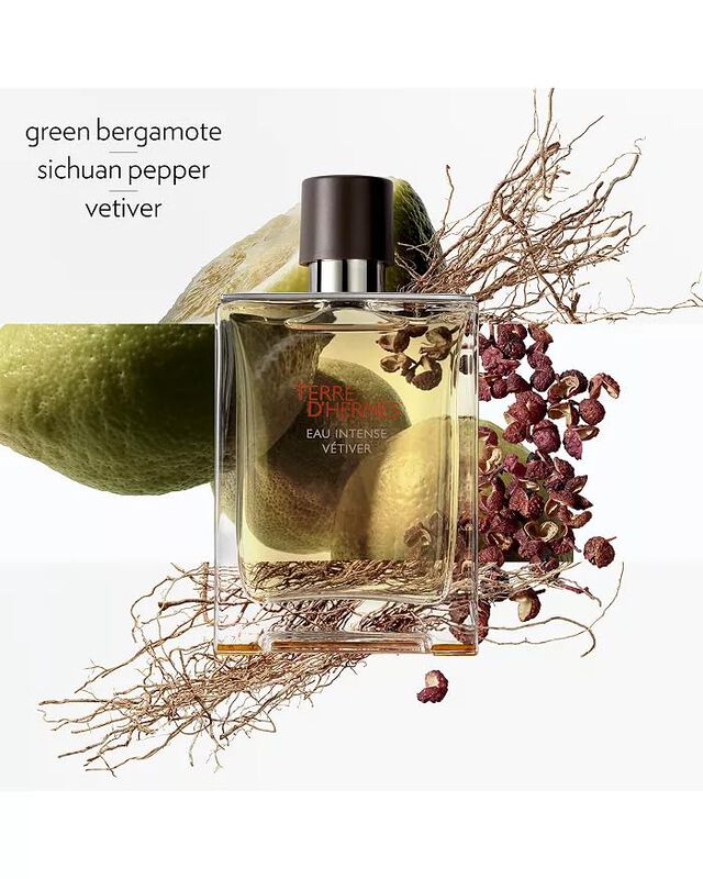 Perfume Hermes Terre D'hermes Eau Intense Vetiv... image number null