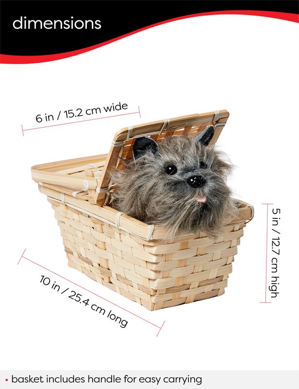 Accesorio De Disfraz Rubie's Wizard Of Oz Dorot... image number null