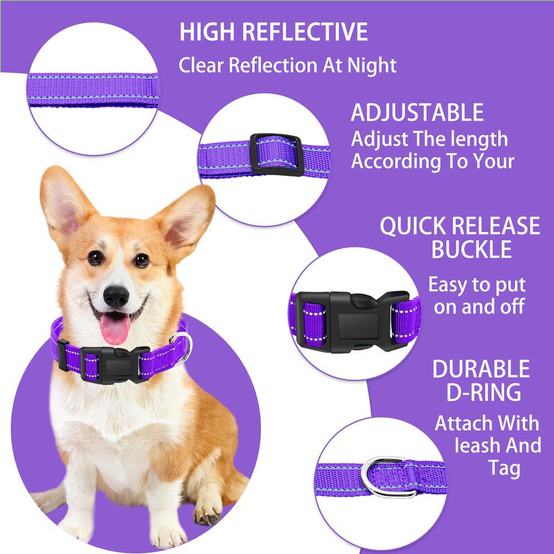 Collar Reflectante Para Perros Maiiu + Combo De... image number null
