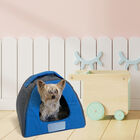 Cama y Casa Iglú para perro y gato