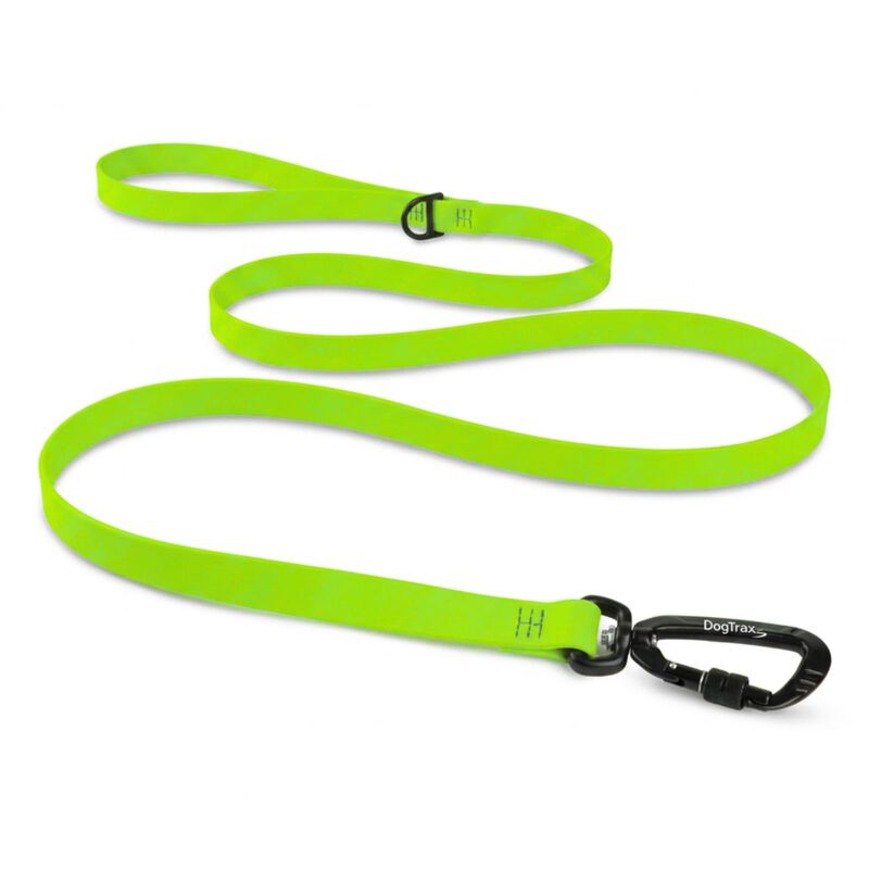 Correa Dogtraxs 152 cm Verde Chartreuse 2,5 cm image number null