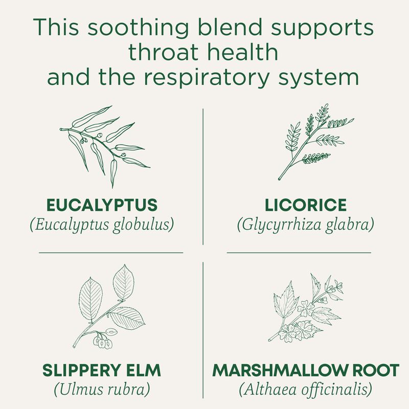 T&eacute; Traditional Medicinals Throat Coat - 16 Sobr... image number null