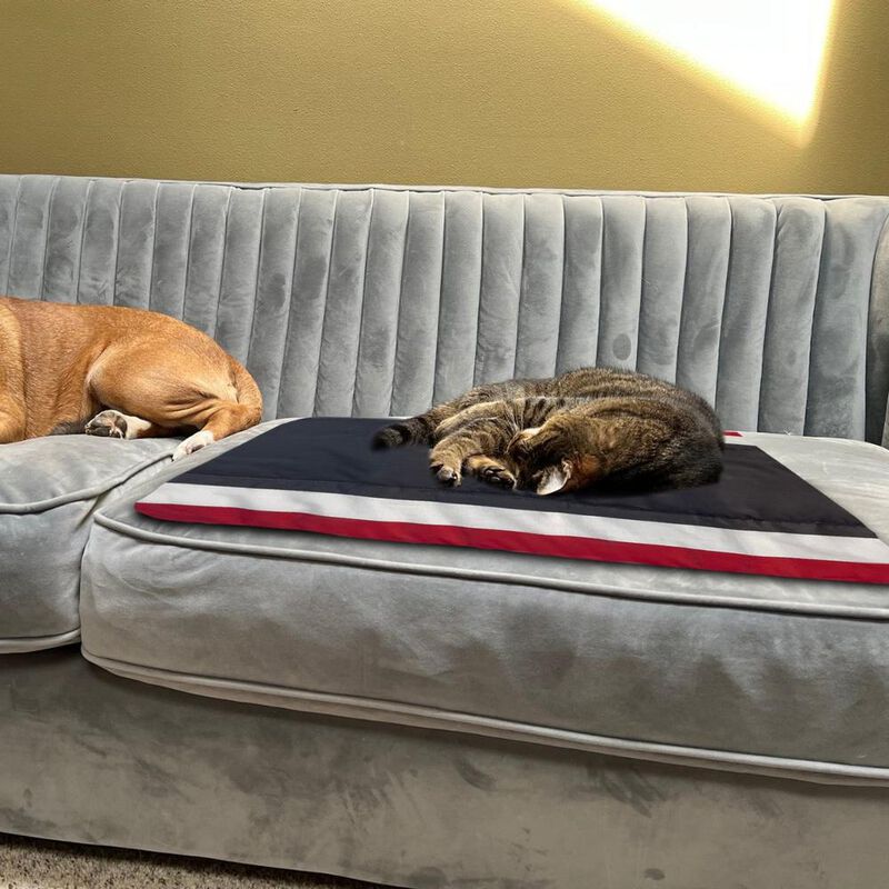 Funda Protectora Para Mascotas Polo One 6 Pack ... image number null