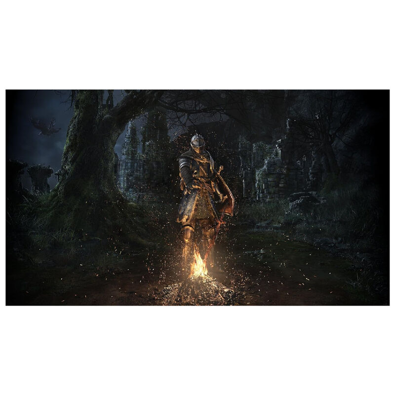 Nintendo Switch Juego Dark Souls Remastered image number null
