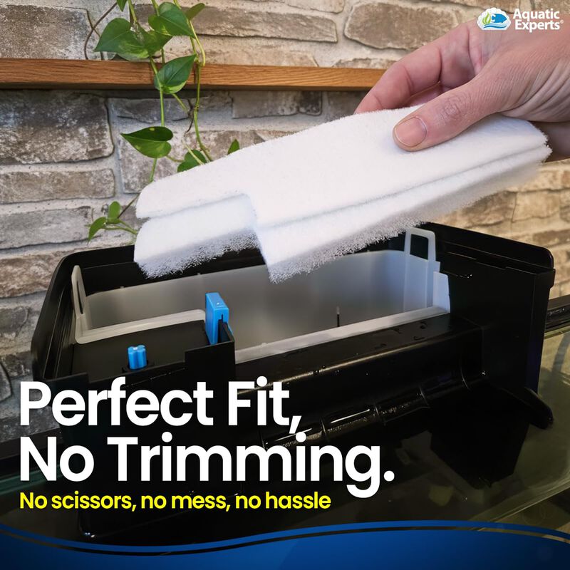 Combo Filtro Aquatic Experts Filterfirst + Almo... image number null