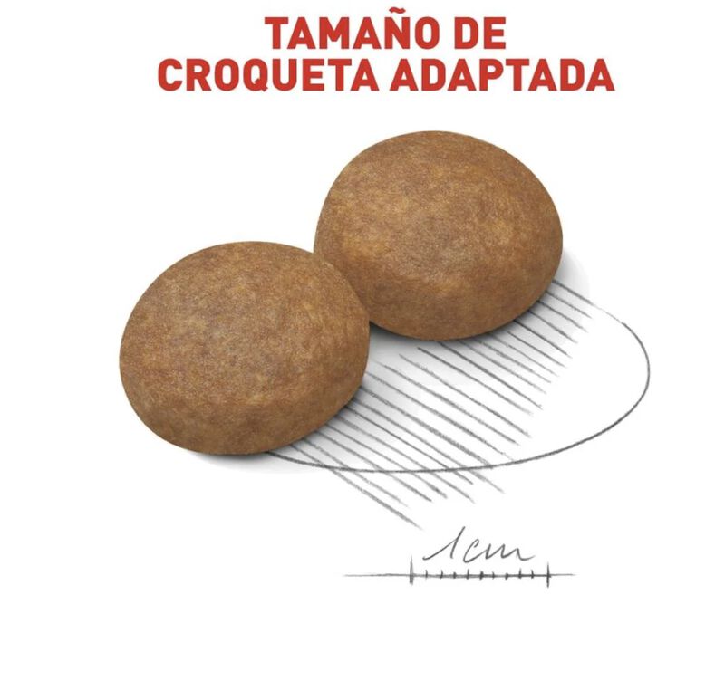 Royal Canin Medium Adult 7.7 Kg Original Sellad... image number null