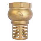 V&aacute;lvula De Pie (pichancha) Con Rejilla De Lat&oacute;n, 1 1/2&rdquo;, Iusa