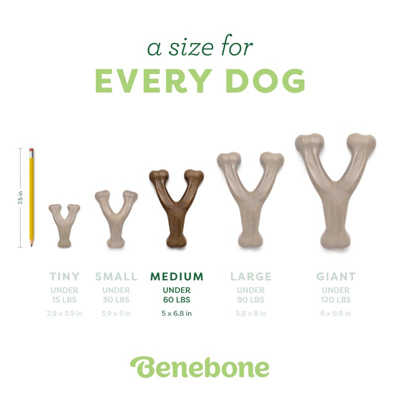 Juguete Masticable Para Perros Benebone Wishbon... image number null