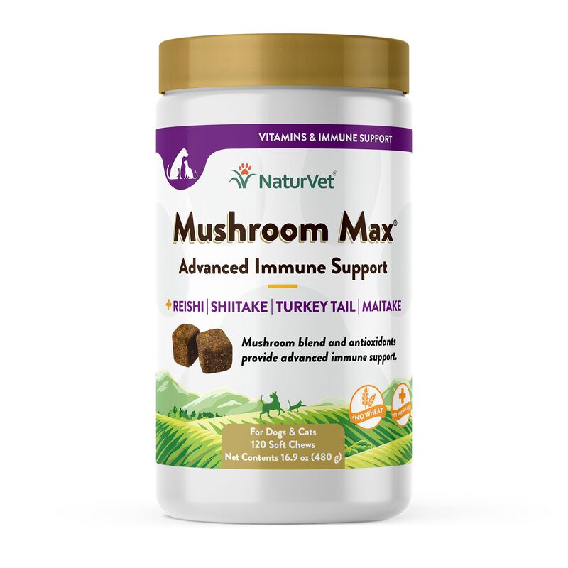 Suplemento Para Perros Naturvet Mushroom Max Im... image number null