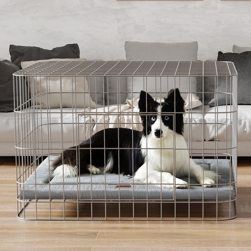 Cama Para Perros Western Home Para Caja De Espu... image number null