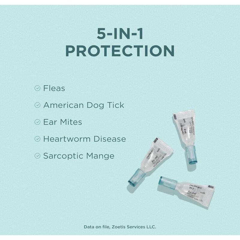 Revolution 12% (selamectina) 3 tubos x 2 ml (ve... image number null