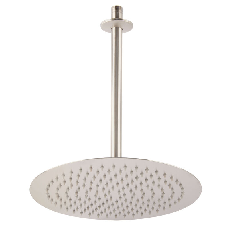 Regadera Sat&iacute;n 12' Plato Redondo delgado con Br... image number null