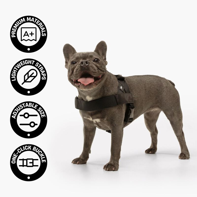 Arn&eacute;s Para Perro Dog Friendly Co. Talla Grande ... image number null