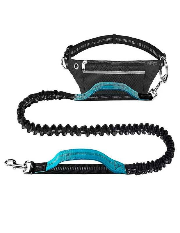 Doggy Go image number null