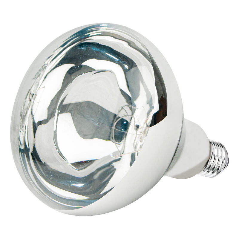 Pack de 4 l&aacute;mparas incandescentes Aksi 250W Tip... image number null