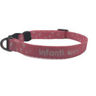 Collar Chico Para Mascotas Metal Mediano Ligero Ajustable