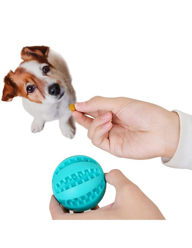 Pelota Multifuncion Para Perros Elego image number null