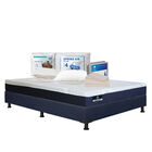 Colch&oacute;n Queen Size Therapy + Box + Almohada De Osos + Protector Ultra + 1 Juego De S&aacute;banas Basic