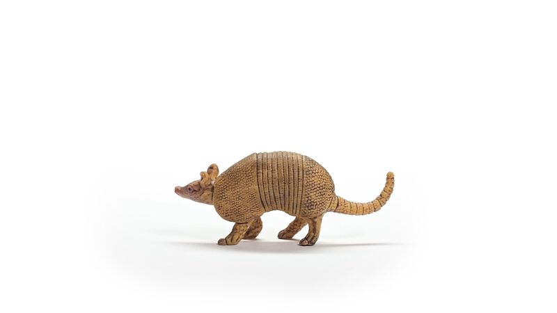 Figura De Juguete Schleich Wild Life Armadillo ... image number null