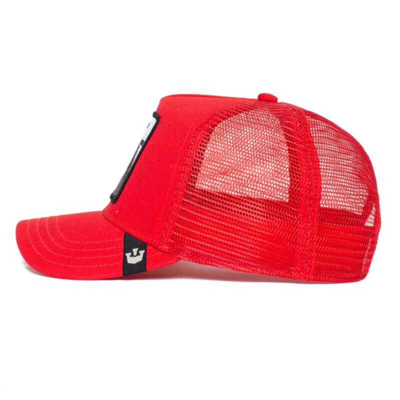 Gorra Goorin Bros Tiger 10103921 image number null
