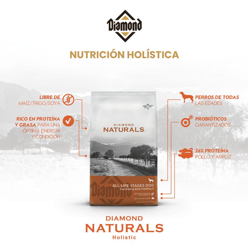 Diamond Naturals Skin & Coat Salmon & Potato Fo... image number null
