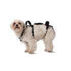 Arn&eacute;s Para Perro Help 'em Up Xs 4.5‑11 kg Con Soporte Trasero