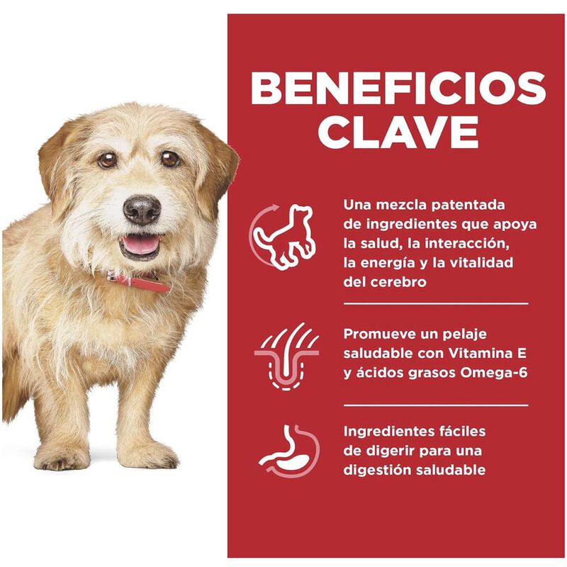 Hill's Senior Vitality 5.7 Kg 1 Unid X Caja mas... image number null