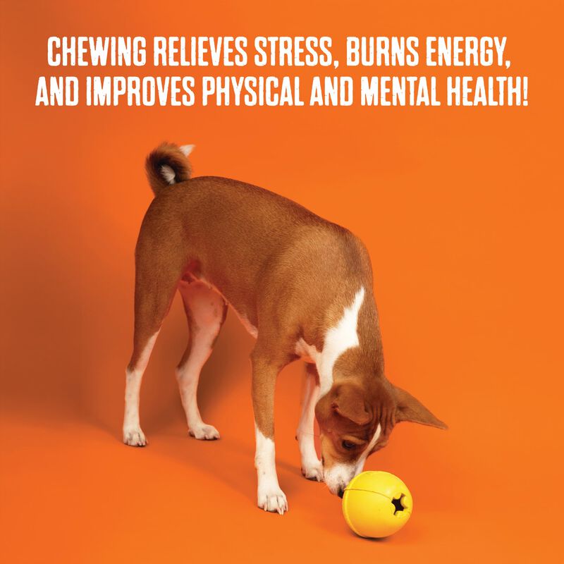 Juguete Para Perro Bullymake Toss N Treat Con D... image number null
