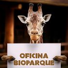 Bioparque + Transporte Incluido CDMX Oficina Bioparque, sábado 25 de octubre.