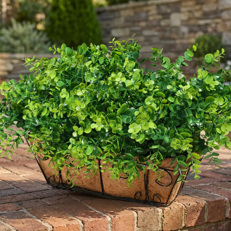Plantas Artificiales Ivydale 12 Paquetes Uv Res... image number null